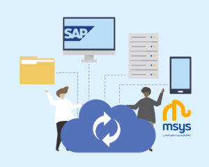 SAP ERP MSYS